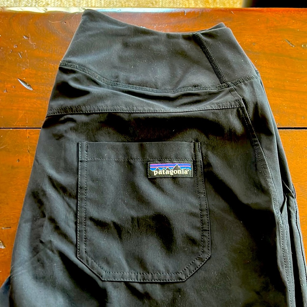 Patagonia joggers